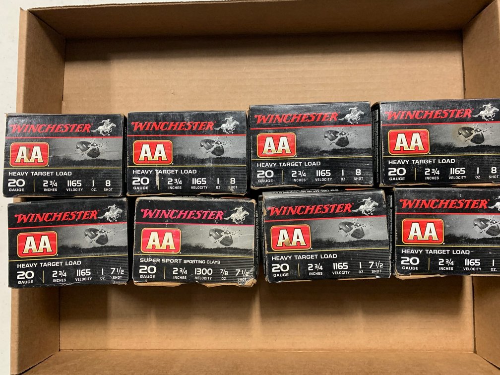 [2278]  Ammo Lot: 20 ga