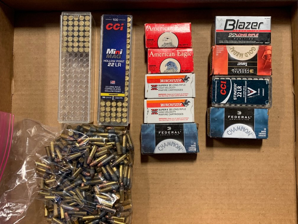 [2019]  Ammo Lot: .22 LR
