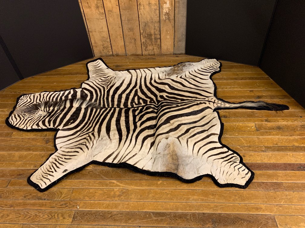 [274]  Zebra Hide with a Black Felt Backing