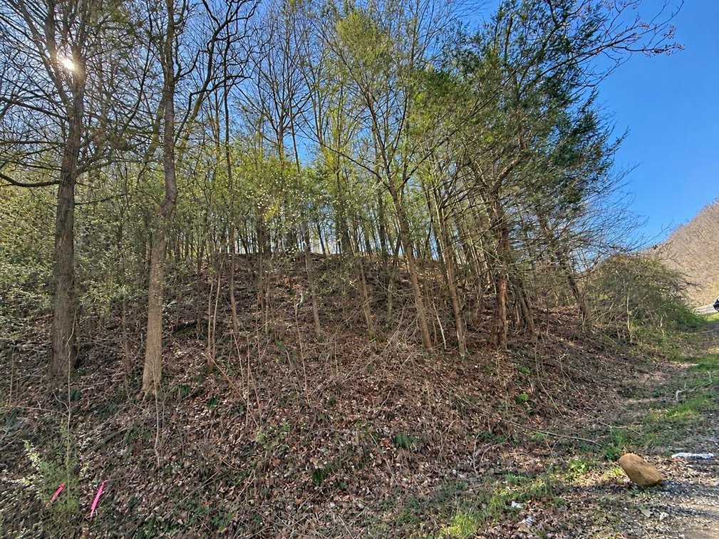 71.53 Surveyed Acres in Boone County Selling to the Highest Bidder
