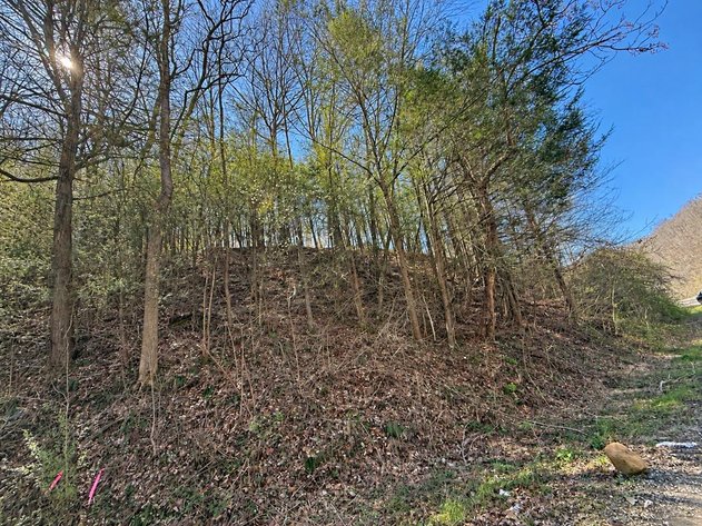 Image for 71.53 Surveyed Acres in Boone County Selling to the Highest Bidder