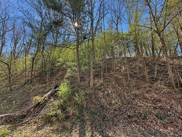 Image for 71.53 Surveyed Acres in Boone County Selling to the Highest Bidder