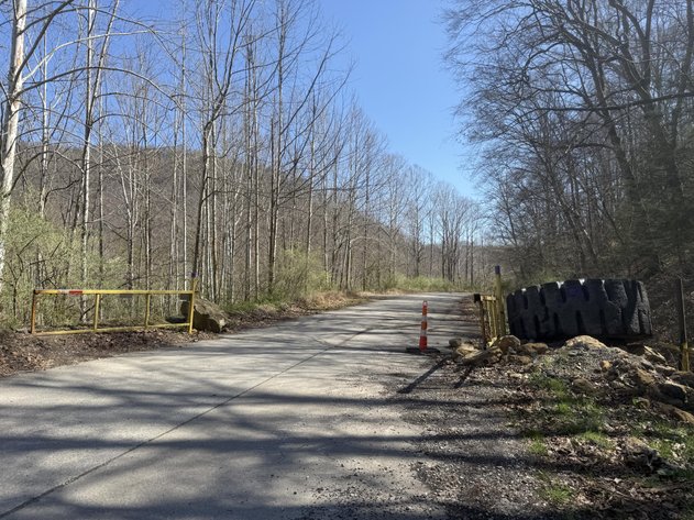 Image for 71.53 Surveyed Acres in Boone County Selling to the Highest Bidder