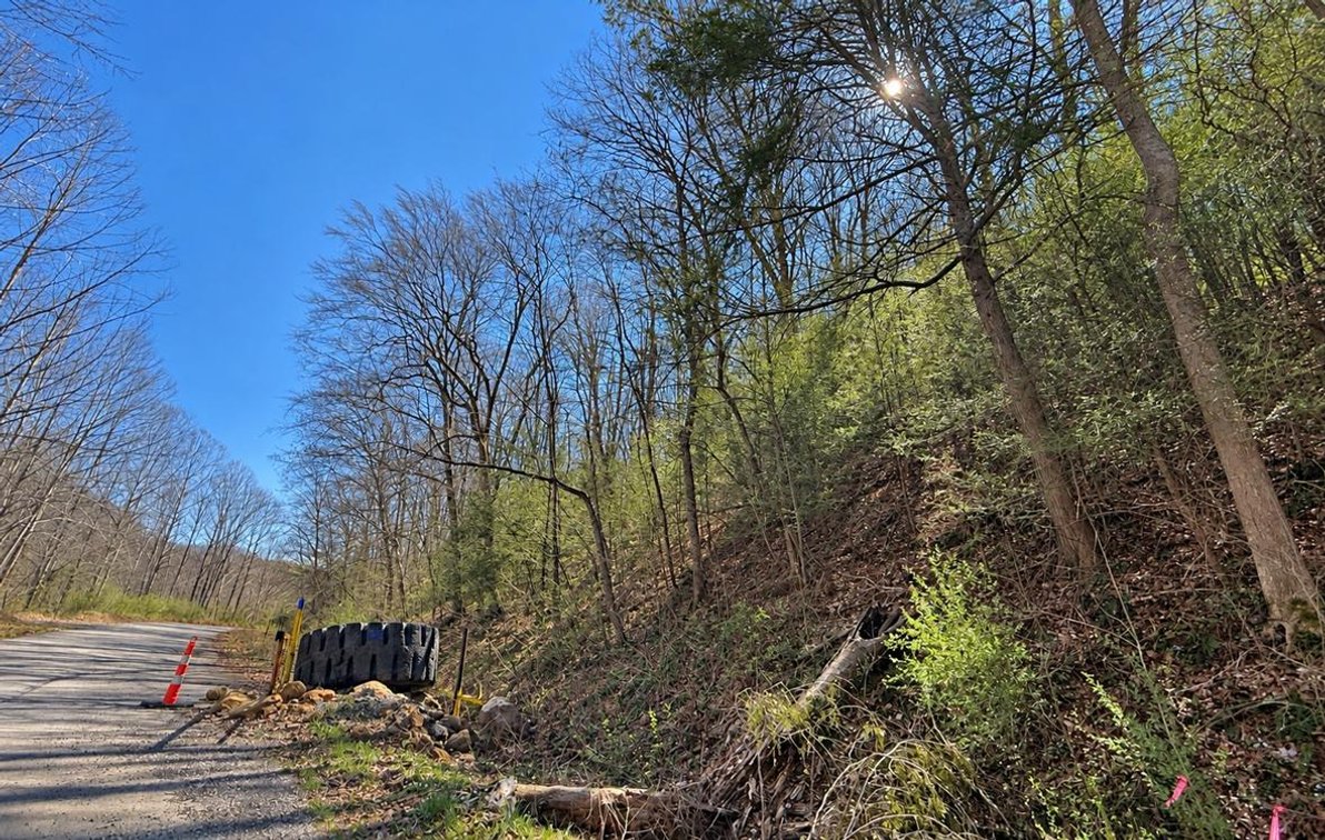 Image for 71.53 Surveyed Acres in Boone County Selling to the Highest Bidder