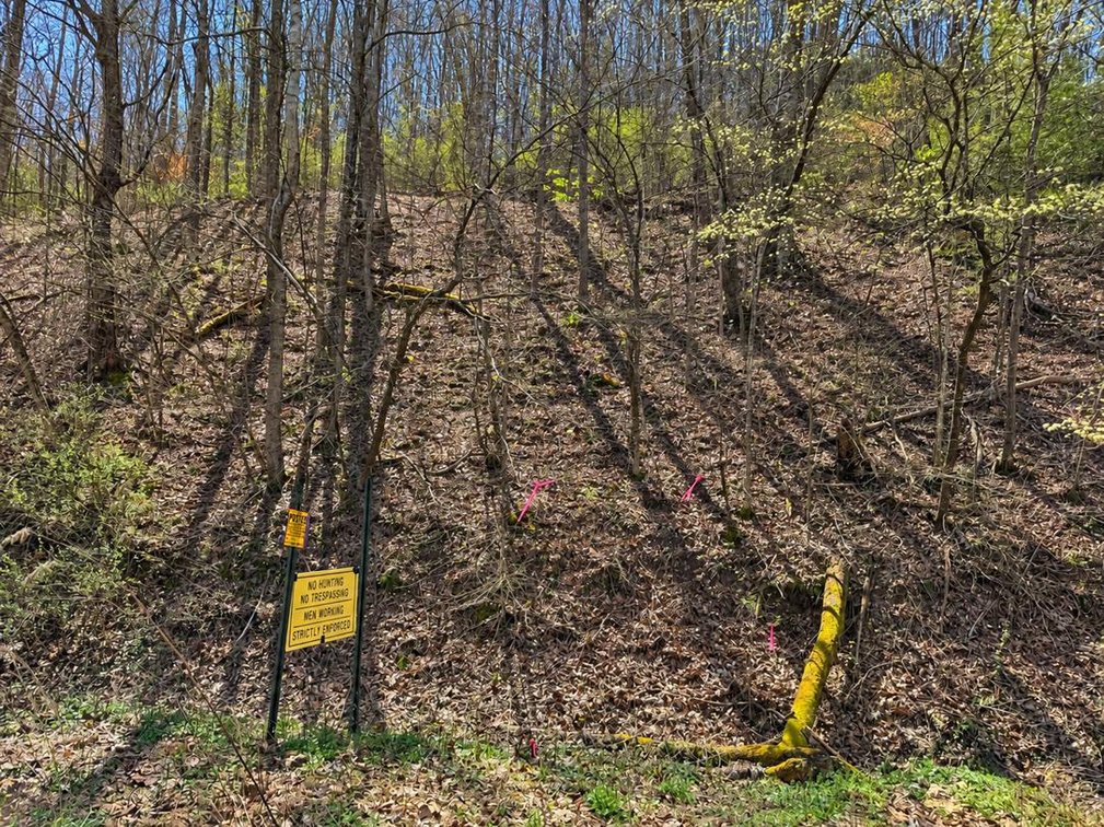 Image for 71.53 Surveyed Acres in Boone County Selling to the Highest Bidder