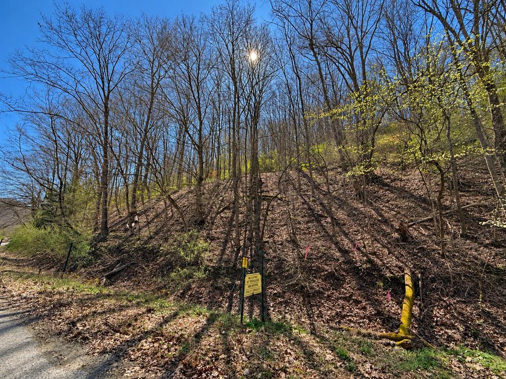 Image for 71.53 Surveyed Acres in Boone County Selling to the Highest Bidder