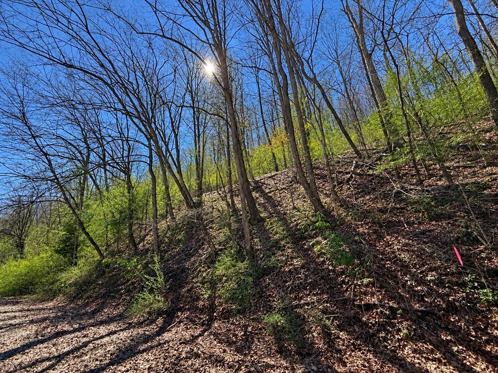 Image for 71.53 Surveyed Acres in Boone County Selling to the Highest Bidder