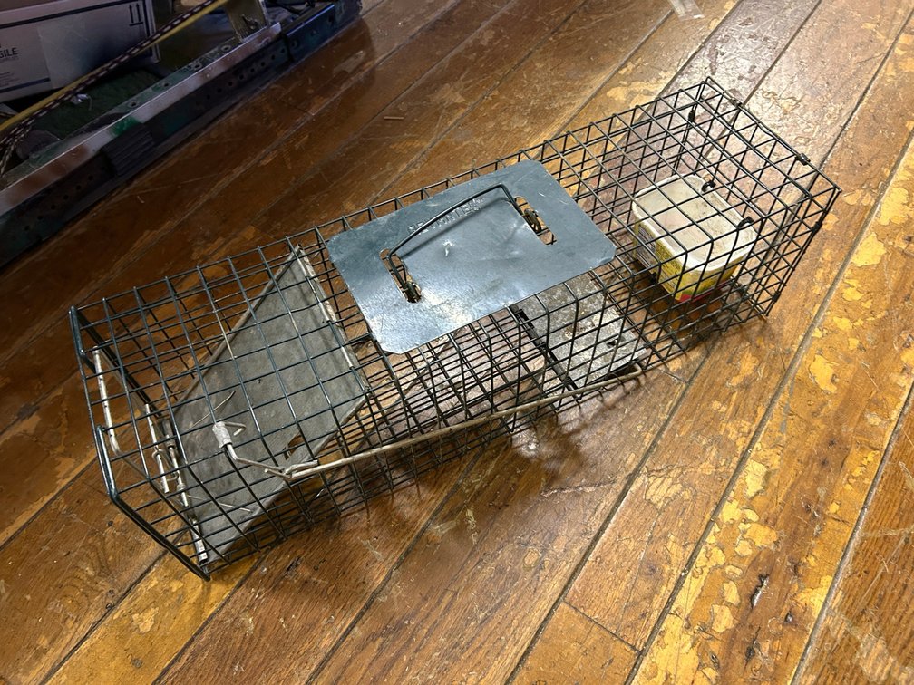 Varmint Trap