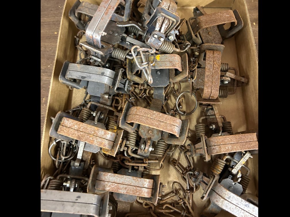 Animal Coil Spring Traps