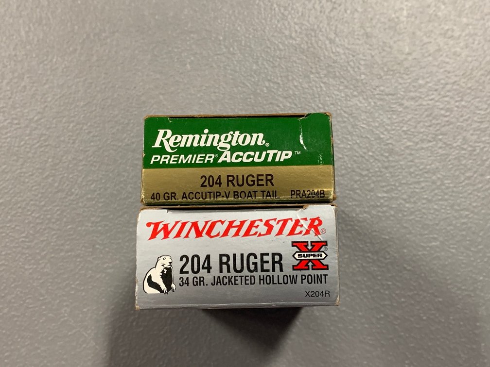 [2111]  Ammo Lot: .204 Ruger