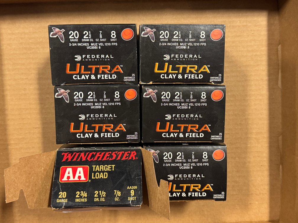 [2279]  Ammo Lot: 20 ga