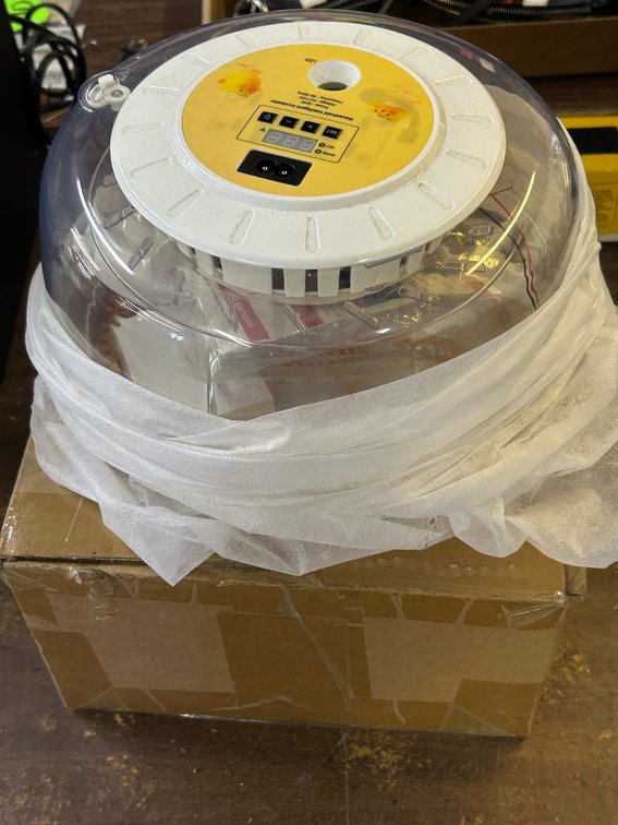 House Intelligent Incubator