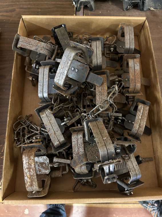 Coil Spring animal Traps