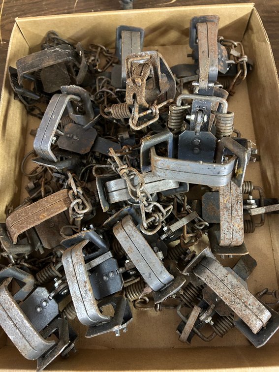 Coil Spring animal Traps