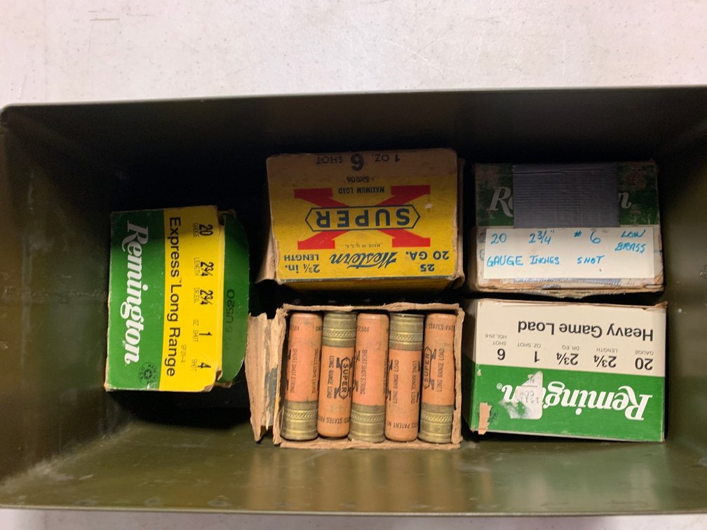 [2281]  Ammo Lot: 20 ga