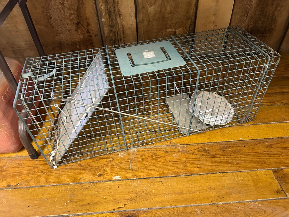 Large Varmint Trap