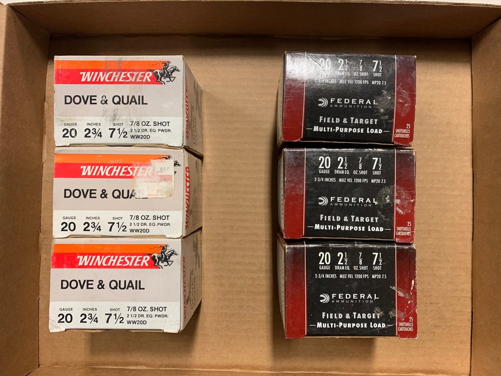 [2277]  Ammo Lot: 20 ga