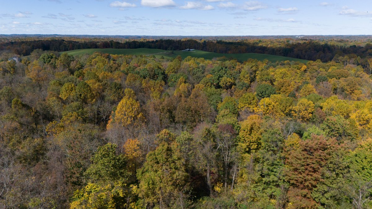 Image for 43.9 Acres with Home, Garage & Pole Building in Monroe County, OH