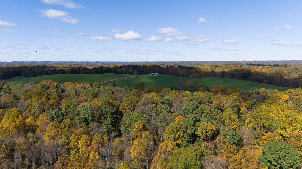 Image for 43.9 Acres with Home, Garage & Pole Building in Monroe County, OH