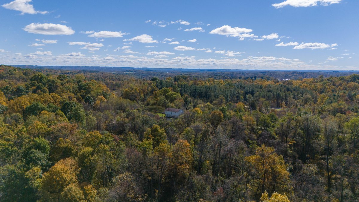 Image for 43.9 Acres with Home, Garage & Pole Building in Monroe County, OH