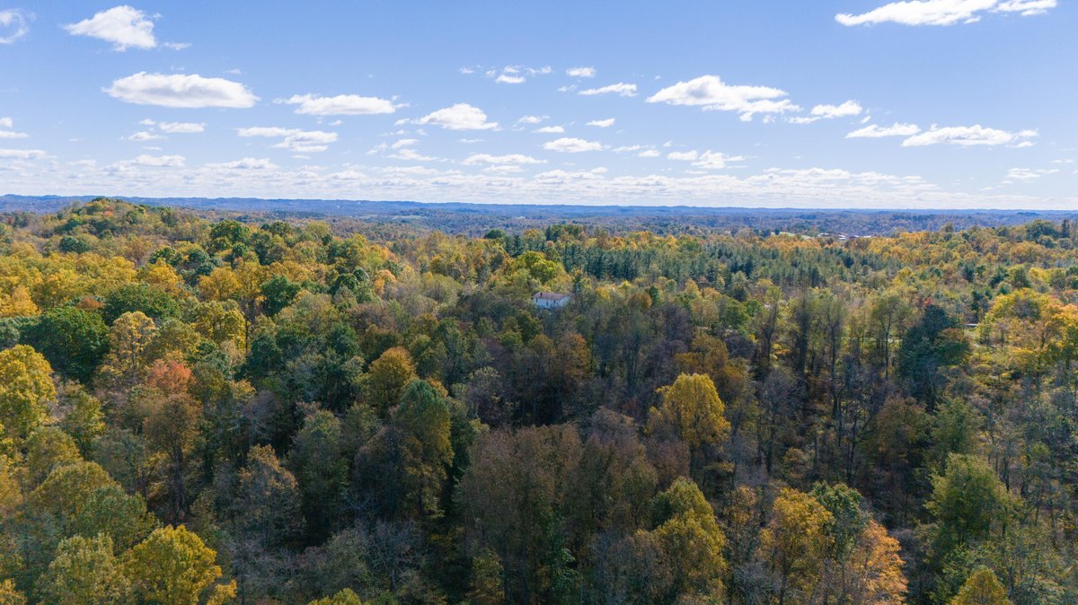 Image for 43.9 Acres with Home, Garage & Pole Building in Monroe County, OH