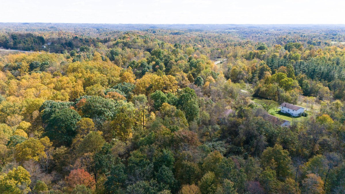 Image for 43.9 Acres with Home, Garage & Pole Building in Monroe County, OH