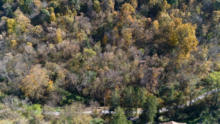 Image for 1.85± Acres of Wooded Land – 3 Parcels in Belmont County, OH