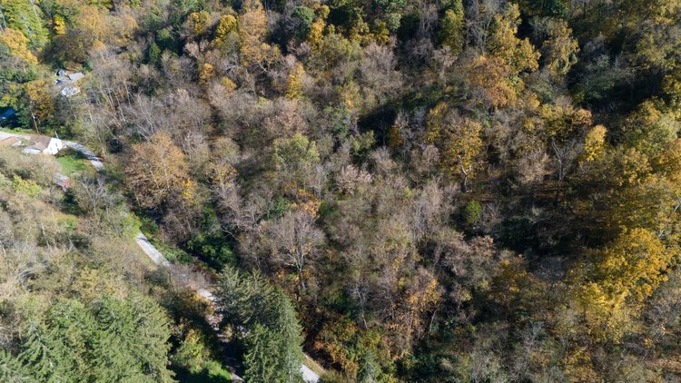 Image for 1.85± Acres of Wooded Land – 3 Parcels in Belmont County, OH