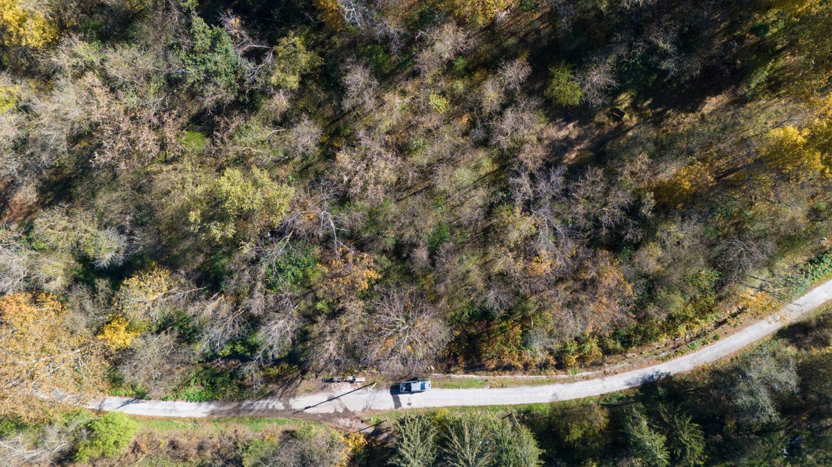 Image for 1.85± Acres of Wooded Land – 3 Parcels in Belmont County, OH