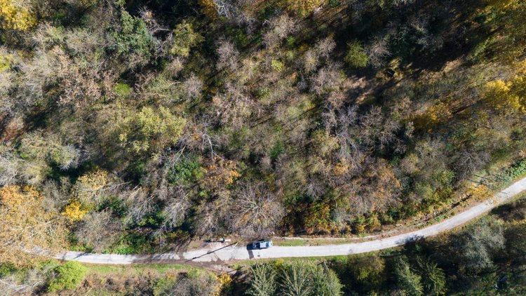 Image for 1.85± Acres of Wooded Land – 3 Parcels in Belmont County, OH