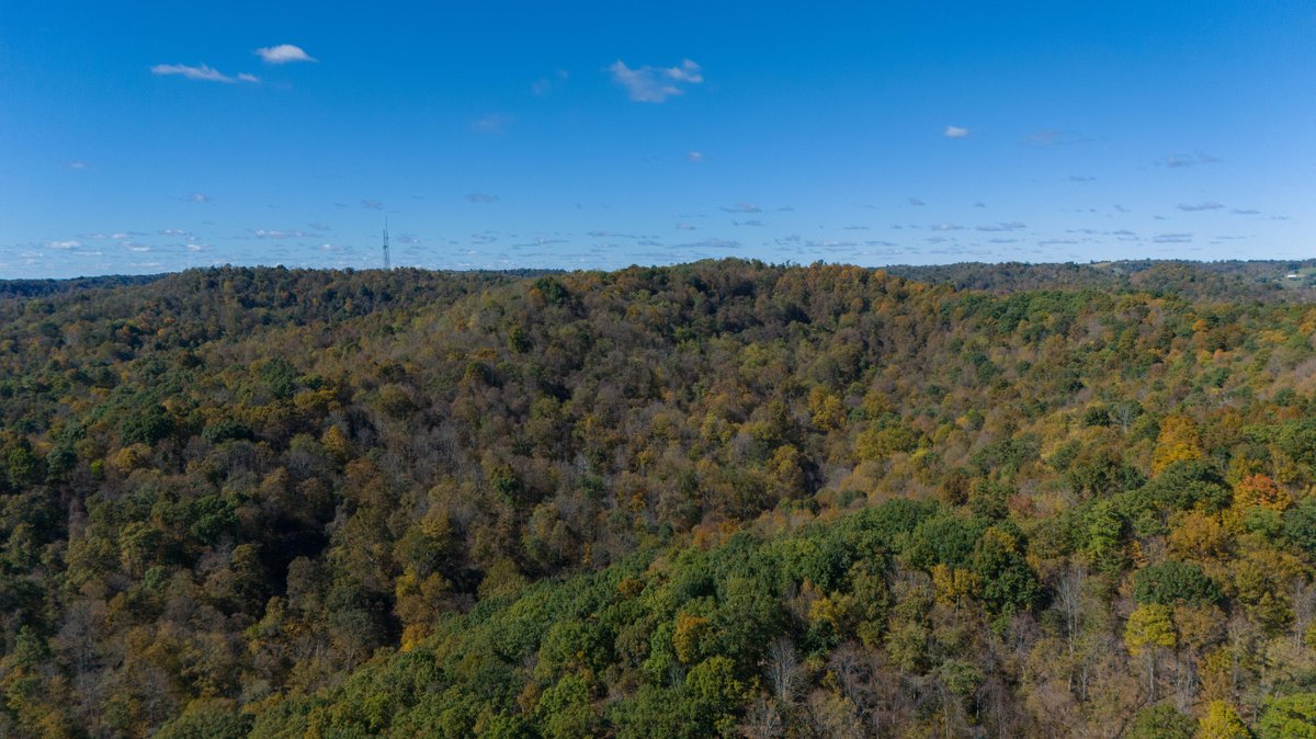 Image for 40± Acres of Wooded Land Near the Ohio River – Monroe County, OH