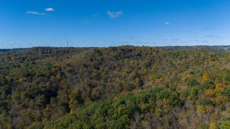 Image for 40± Acres of Wooded Land Near the Ohio River – Monroe County, OH