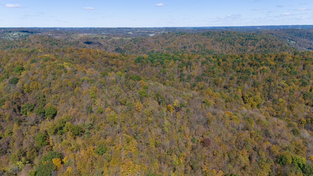 Image for 40± Acres of Wooded Land Near the Ohio River – Monroe County, OH