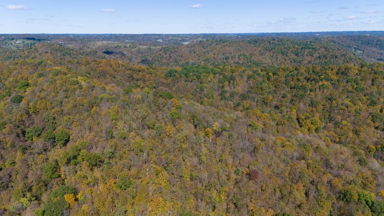 Image for 40± Acres of Wooded Land Near the Ohio River – Monroe County, OH