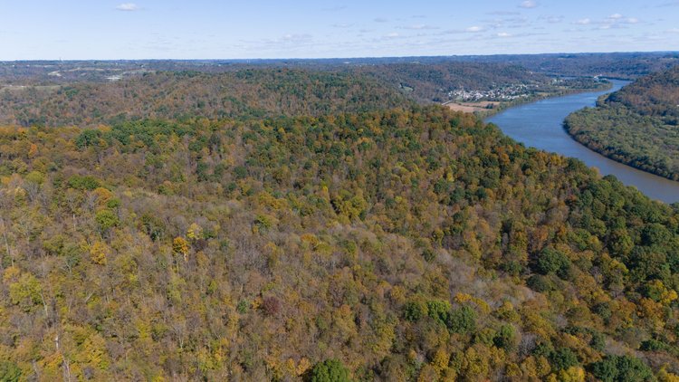 Image for 40± Acres of Wooded Land Near the Ohio River – Monroe County, OH
