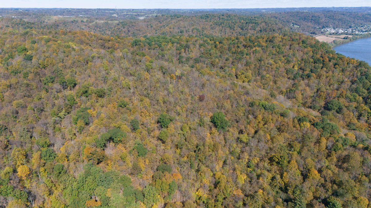 Image for 40± Acres of Wooded Land Near the Ohio River – Monroe County, OH