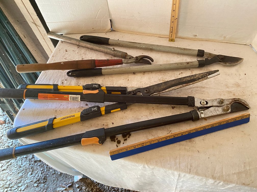 Hand Tree Pruners