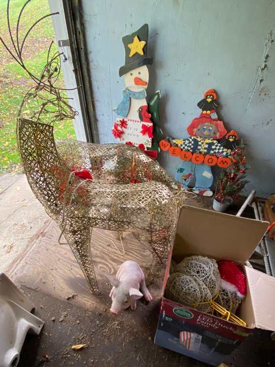 Holiday Decorations