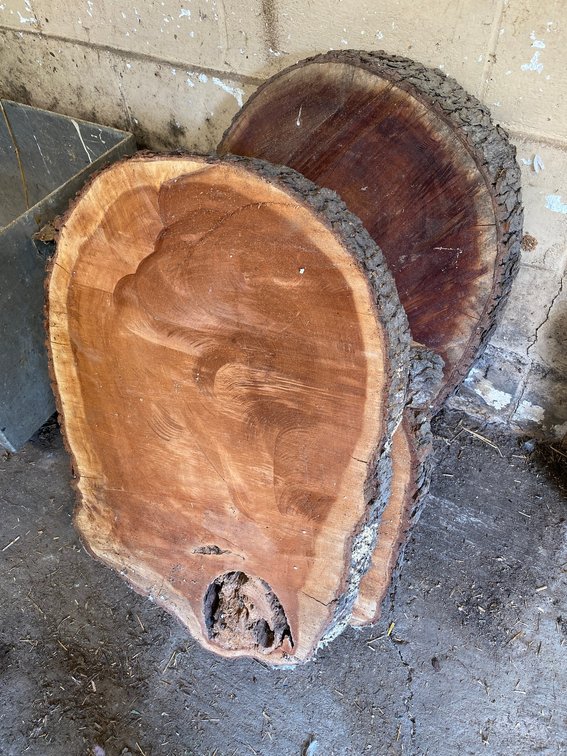 4-Pieces of Walnut Logs