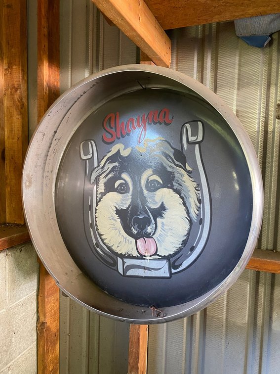 Custom Painted Spare Tire Cover
