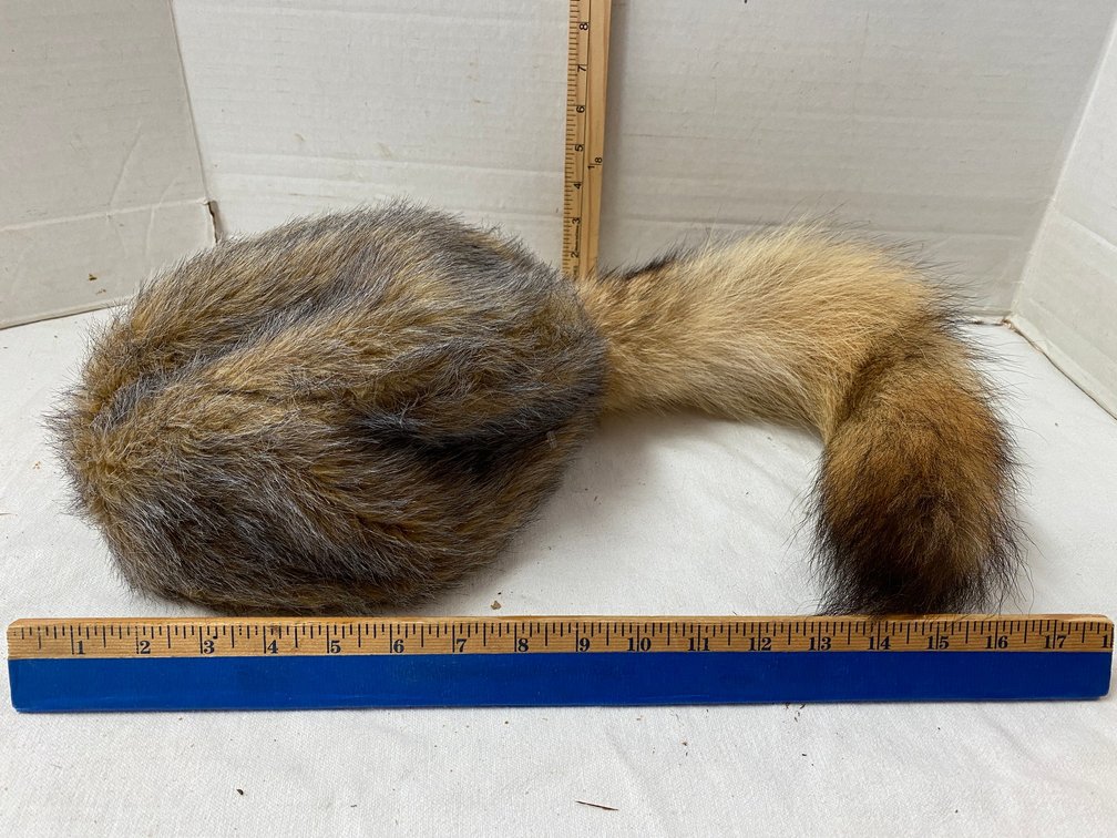 Fox tail Hat
