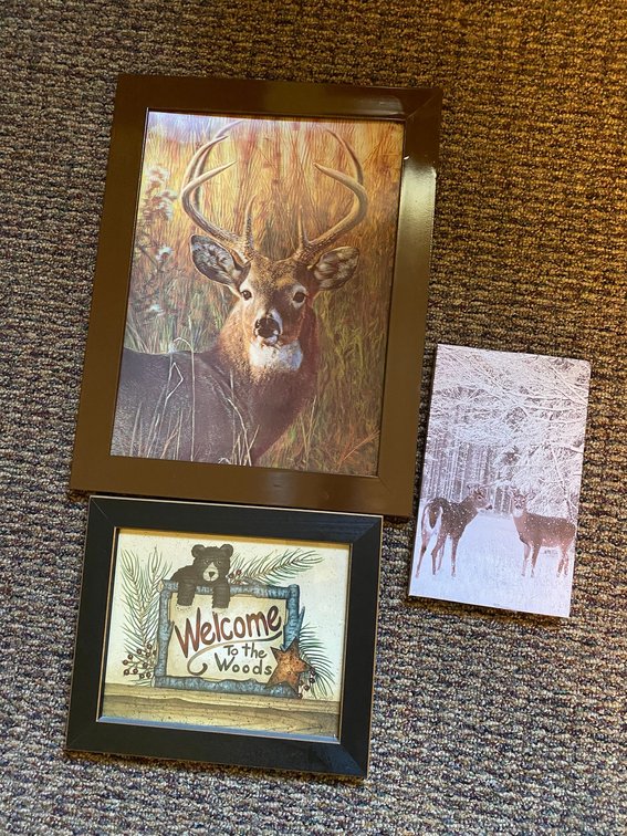 3-Pictures 3D Image of a Buck and a Welcome to the Woods Sign