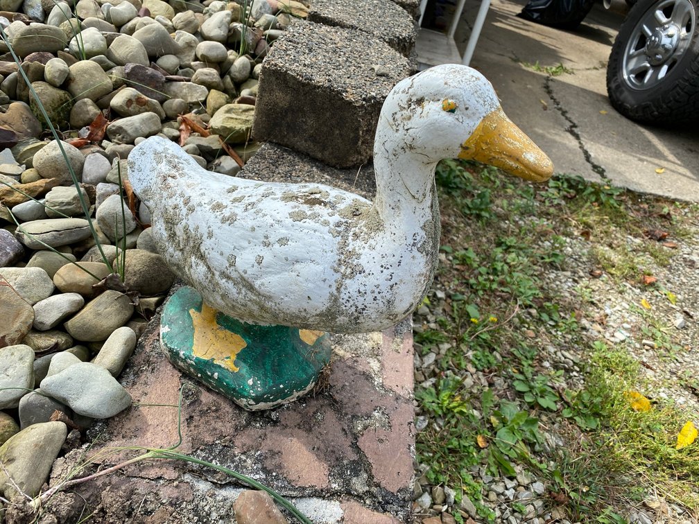 Concrete Duck