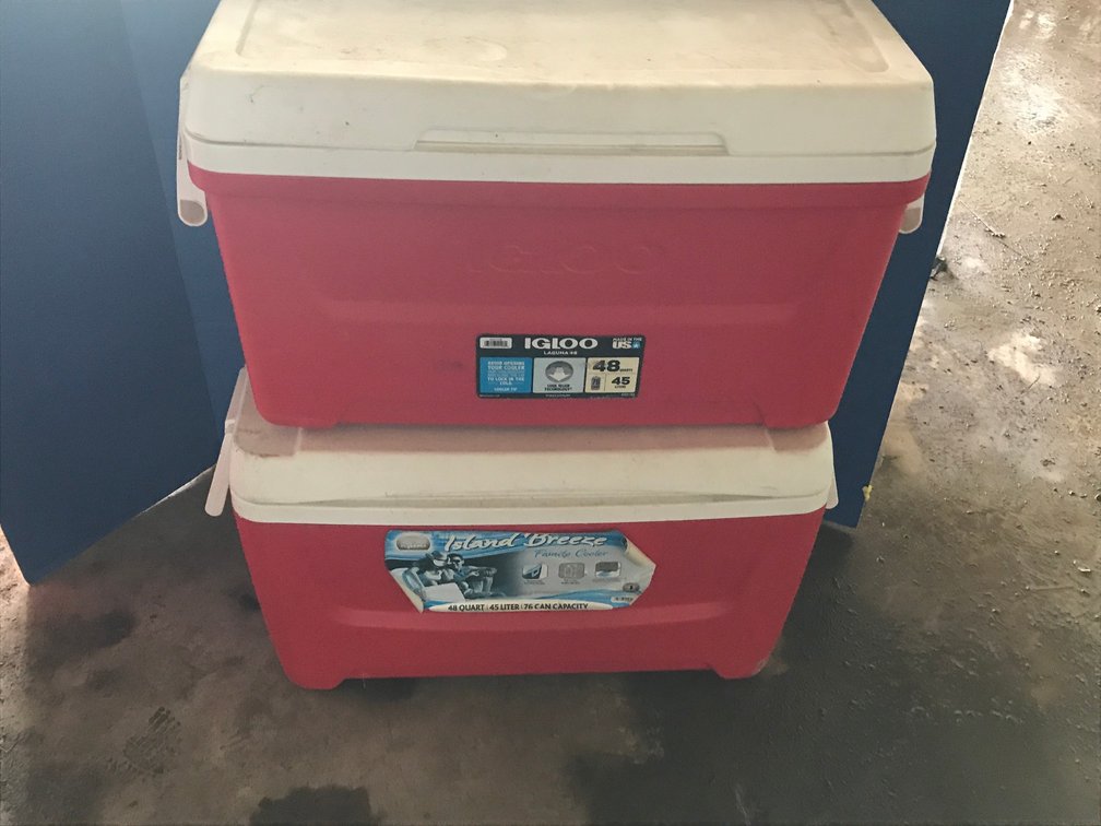 2-48 Quart Igloo Coolers