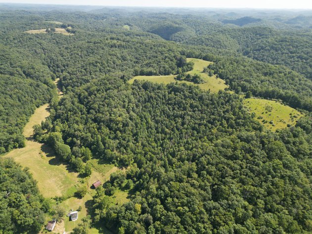 Image for 257 Acre Roane County Farm with Timber