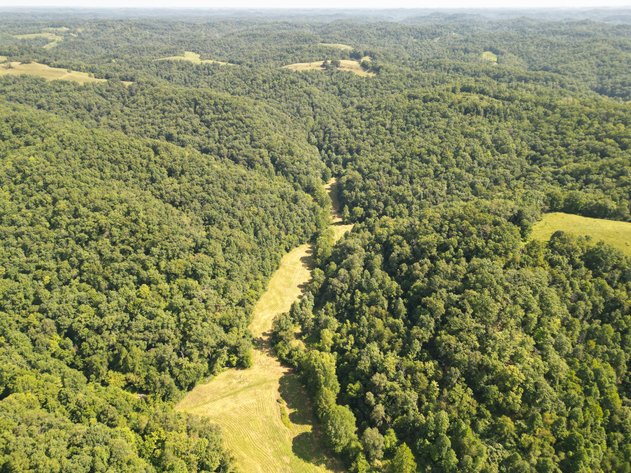 Image for 257 Acre Roane County Farm with Timber