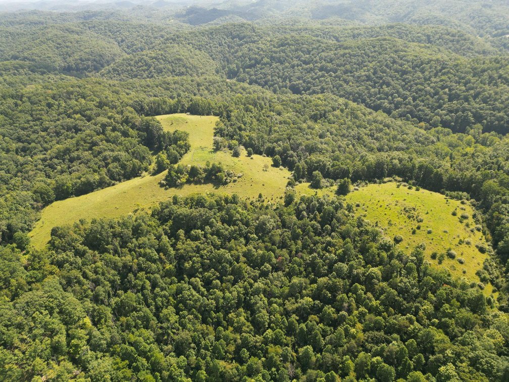 Image for 257 Acre Roane County Farm with Timber