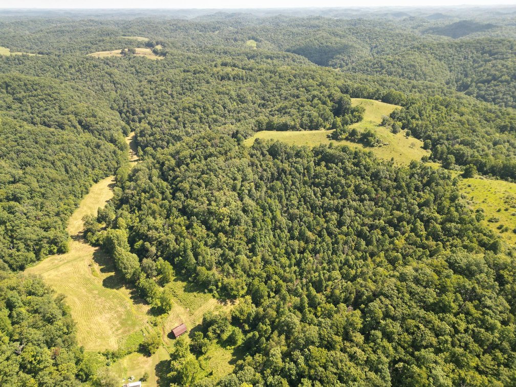 Image for 257 Acre Roane County Farm with Timber