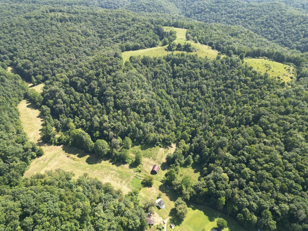 Image for 257 Acre Roane County Farm with Timber