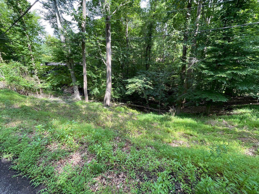 Image for Spacious Wooded Lot in Charleston’s South Hills